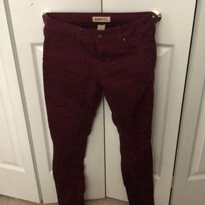 Maroon jeans